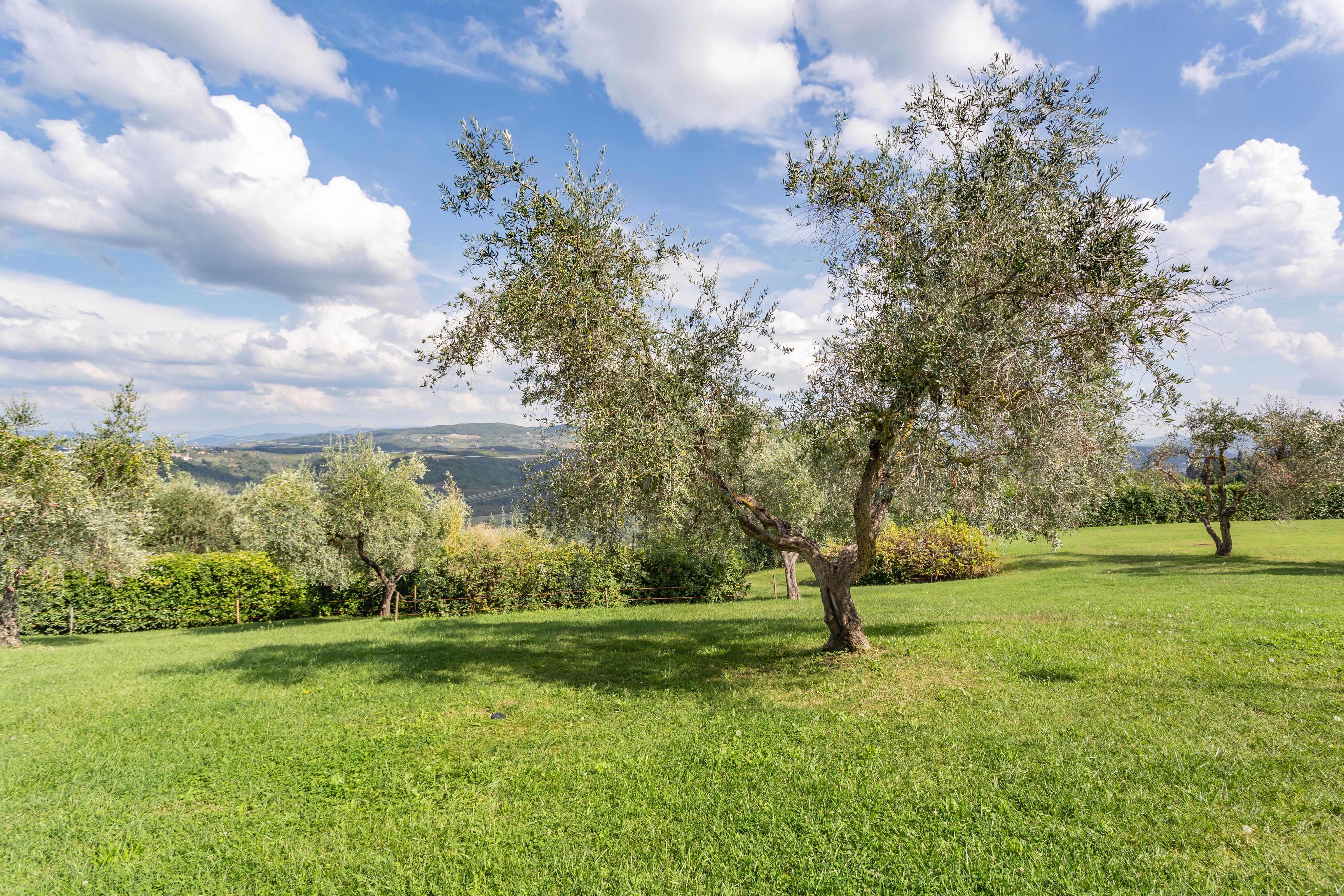 Fattoria Querceto Konuk evi Tavarnelle Val di Pesa Dış mekan fotoğraf